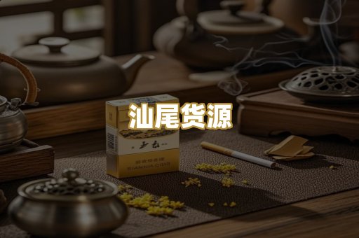 汕尾货源